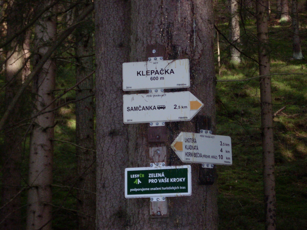 img00008.jpg