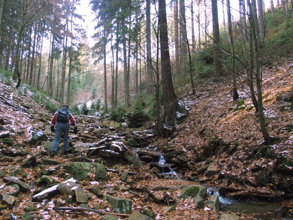 img00016.jpg