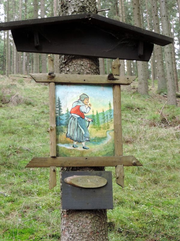 img00062.jpg