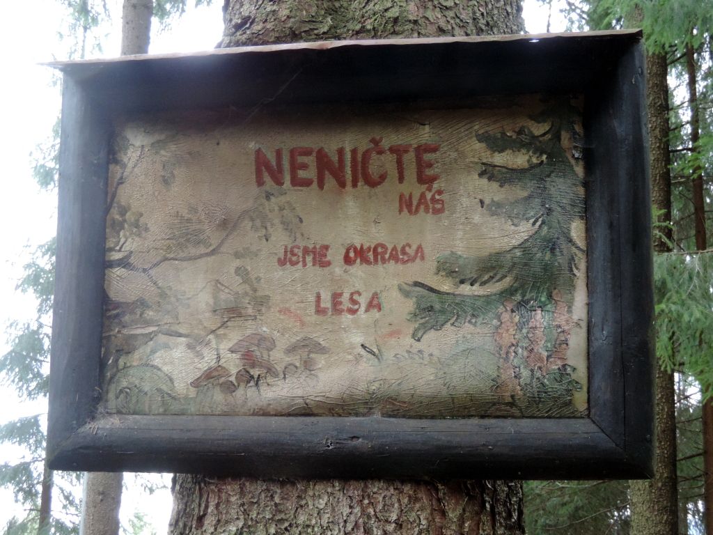 img00071.jpg