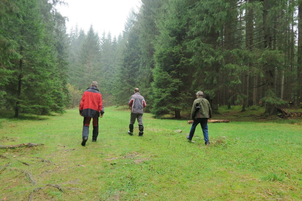 img00020.jpg