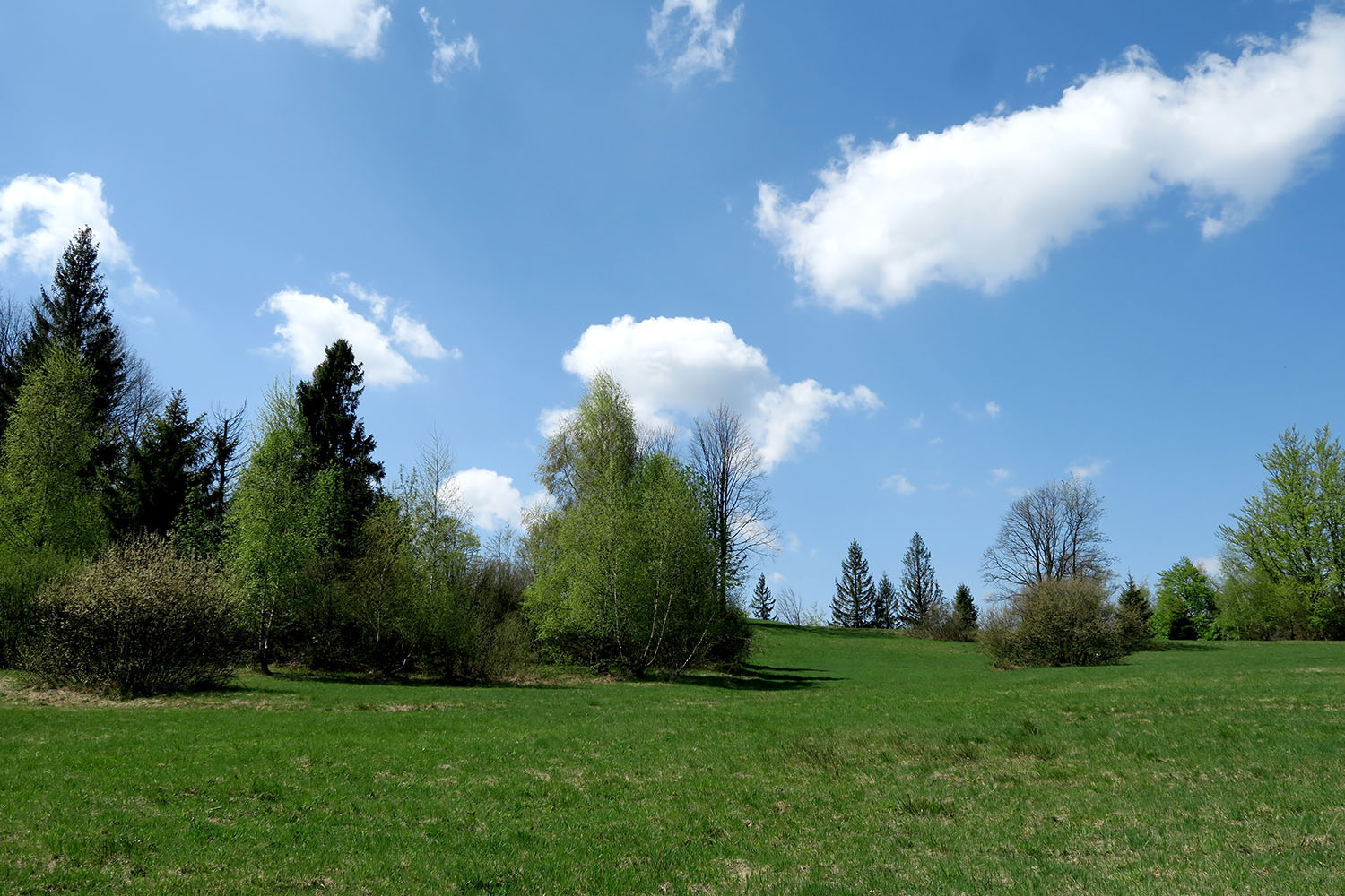 img00040.jpg