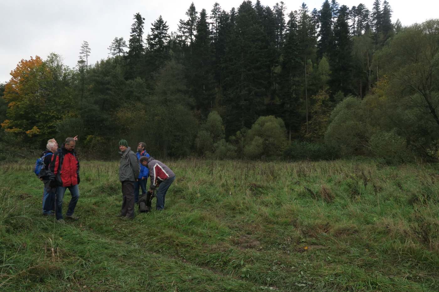img00018.jpg