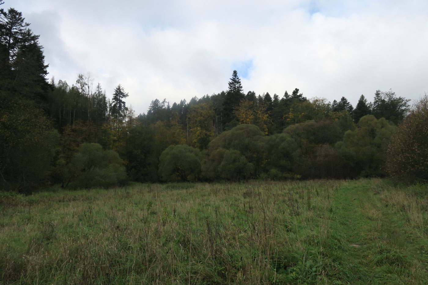 img00019.jpg