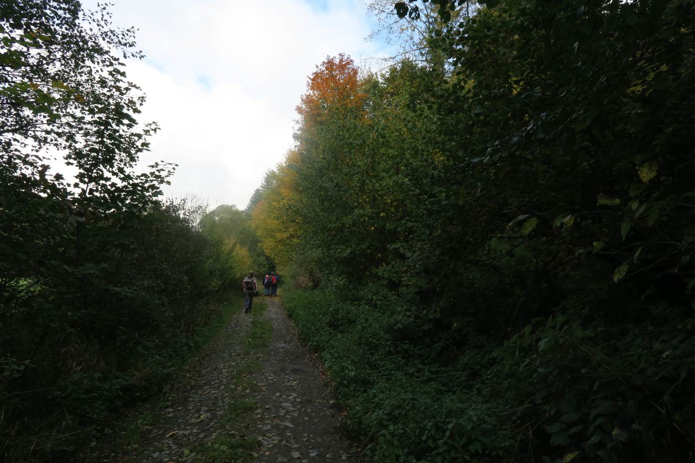 img00020.jpg
