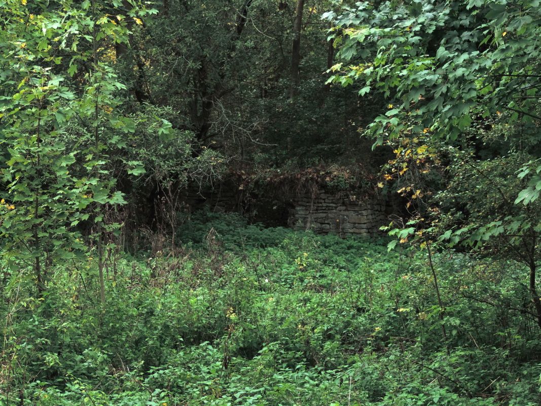 img00032.jpg