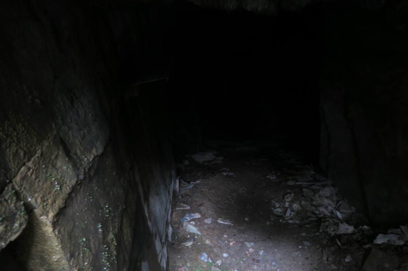 img00052.jpg