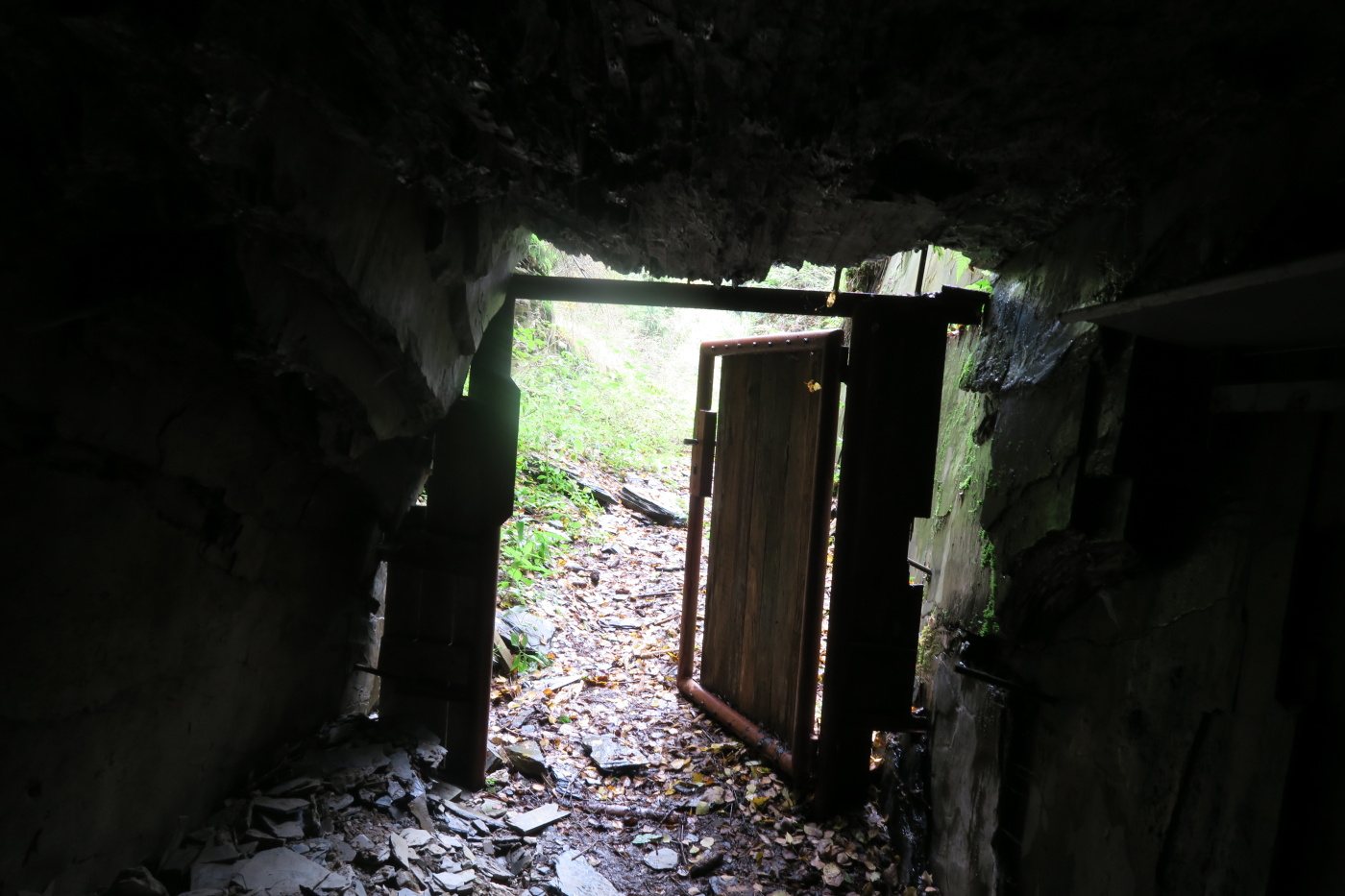img00059.jpg