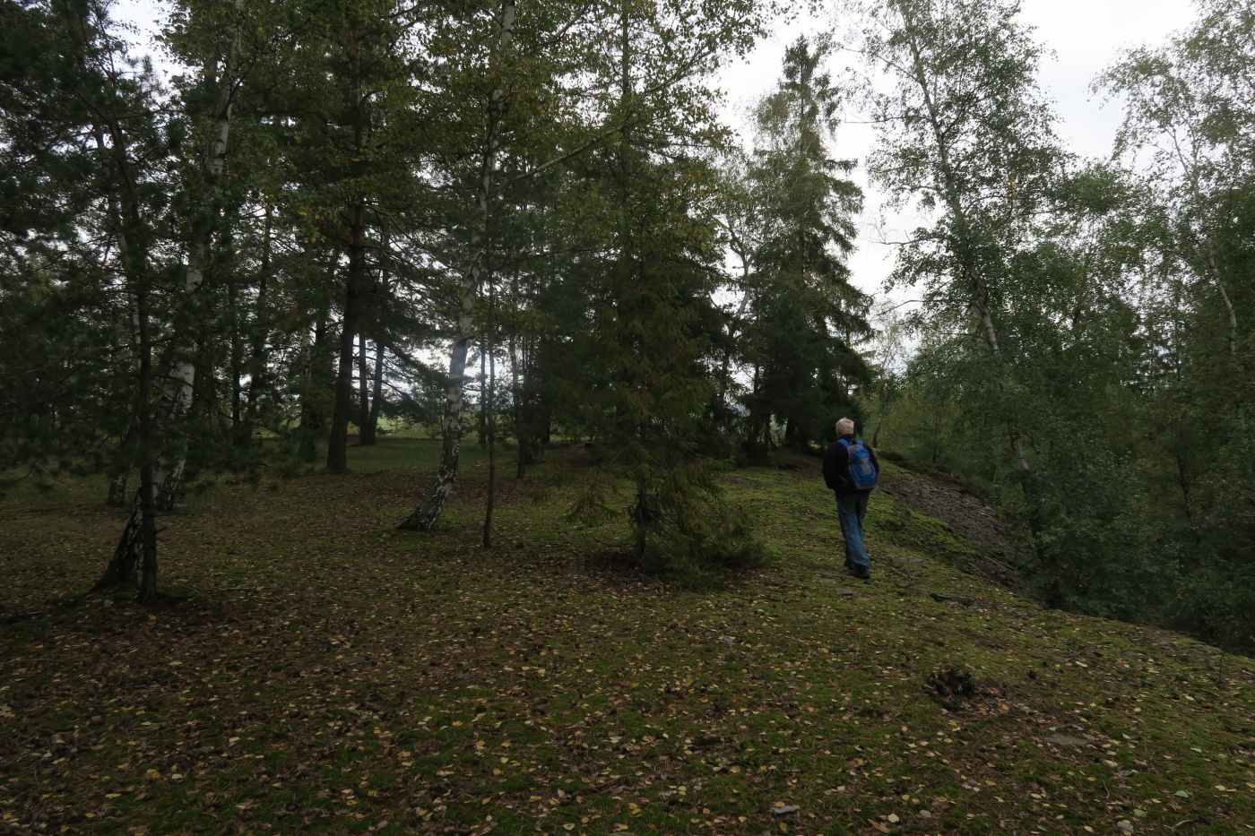 img00065.jpg