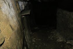 thn00053.jpg