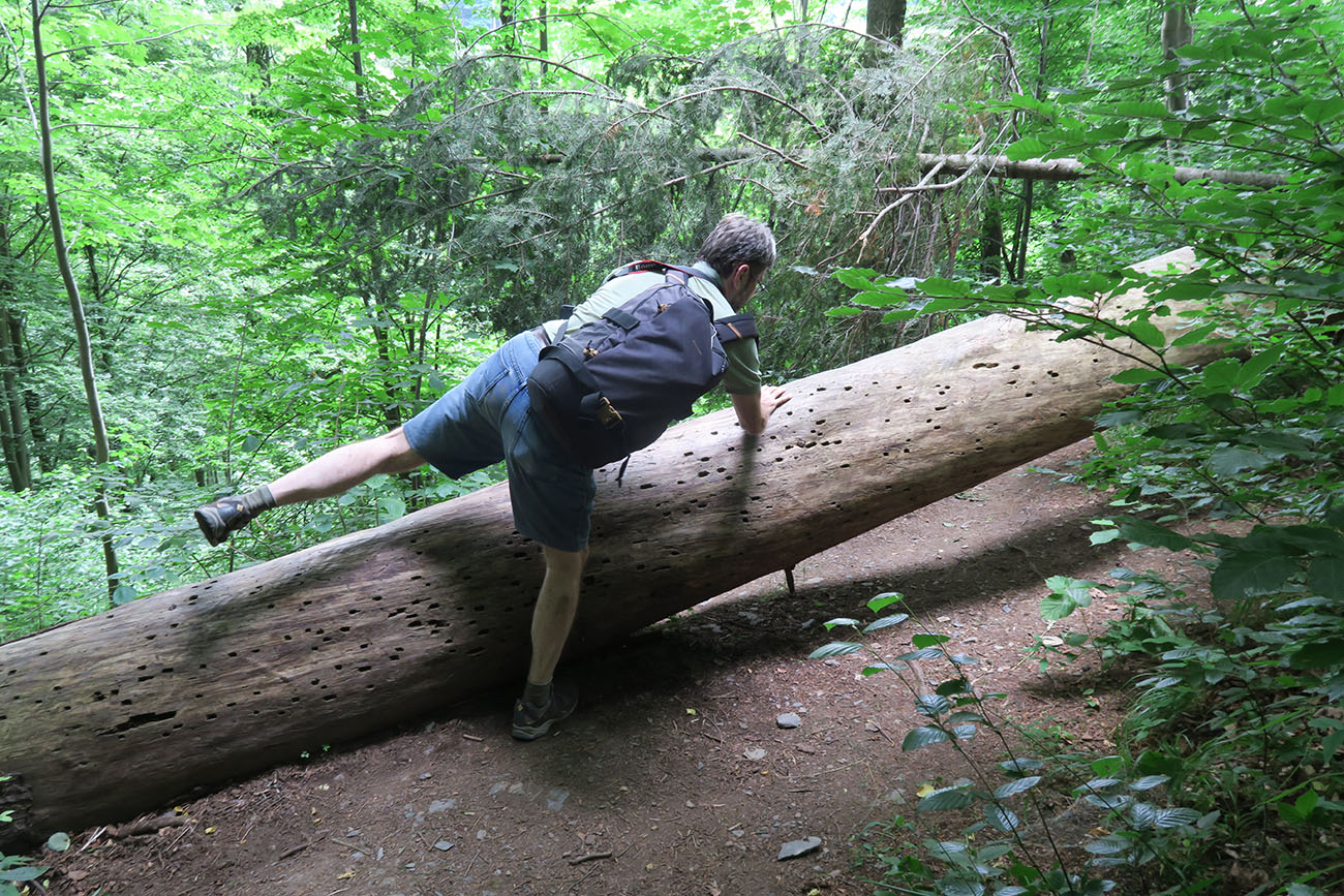 img00046.jpg