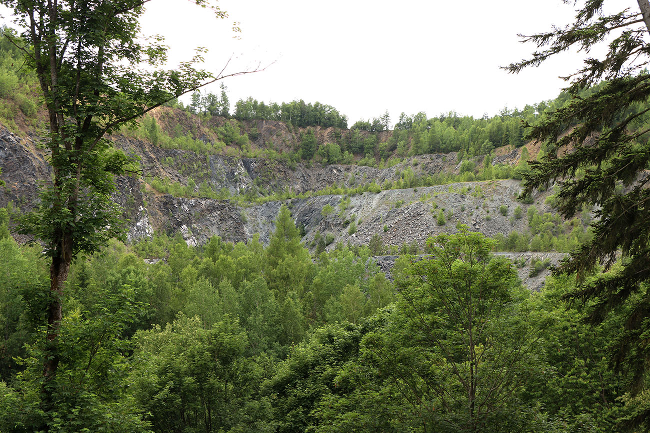 img00047.jpg