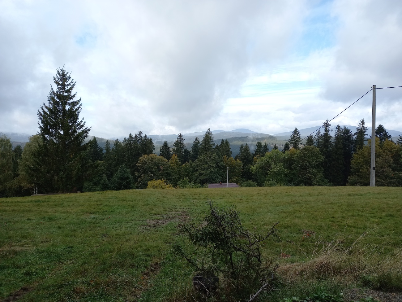 20231015_101540.jpg