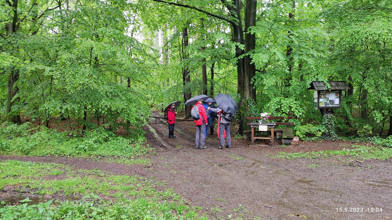 IMG_20230515_100455.jpg
