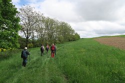 thn_IMG_1805.jpg