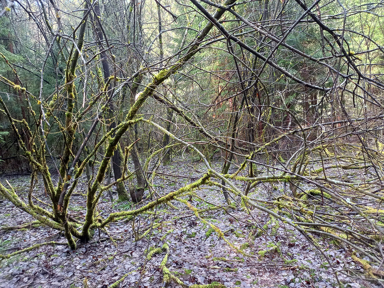 20240225_101123.jpg