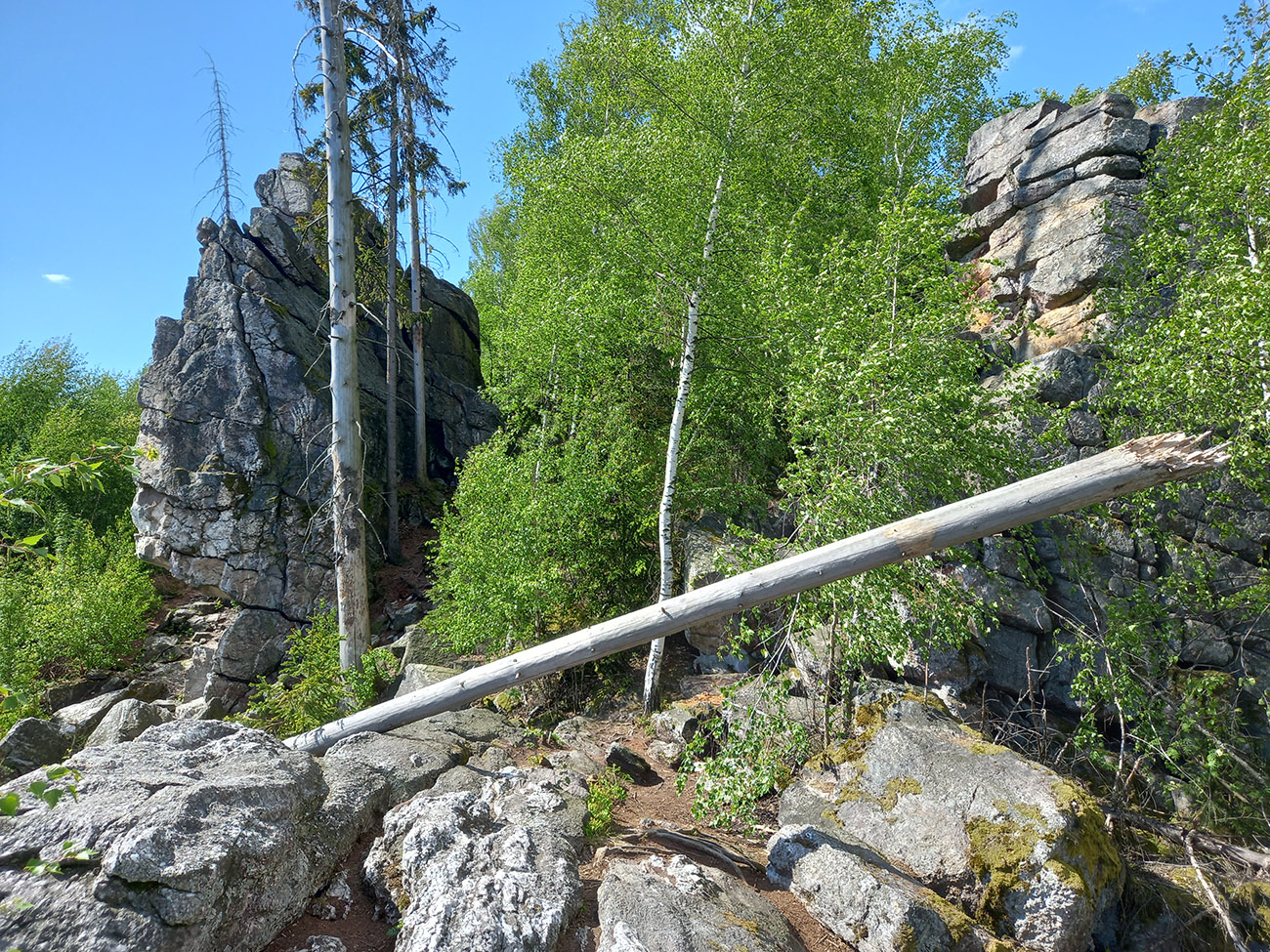 20250509_102142.jpg