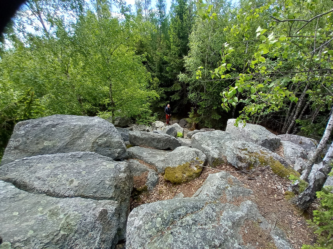 20250509_104024.jpg