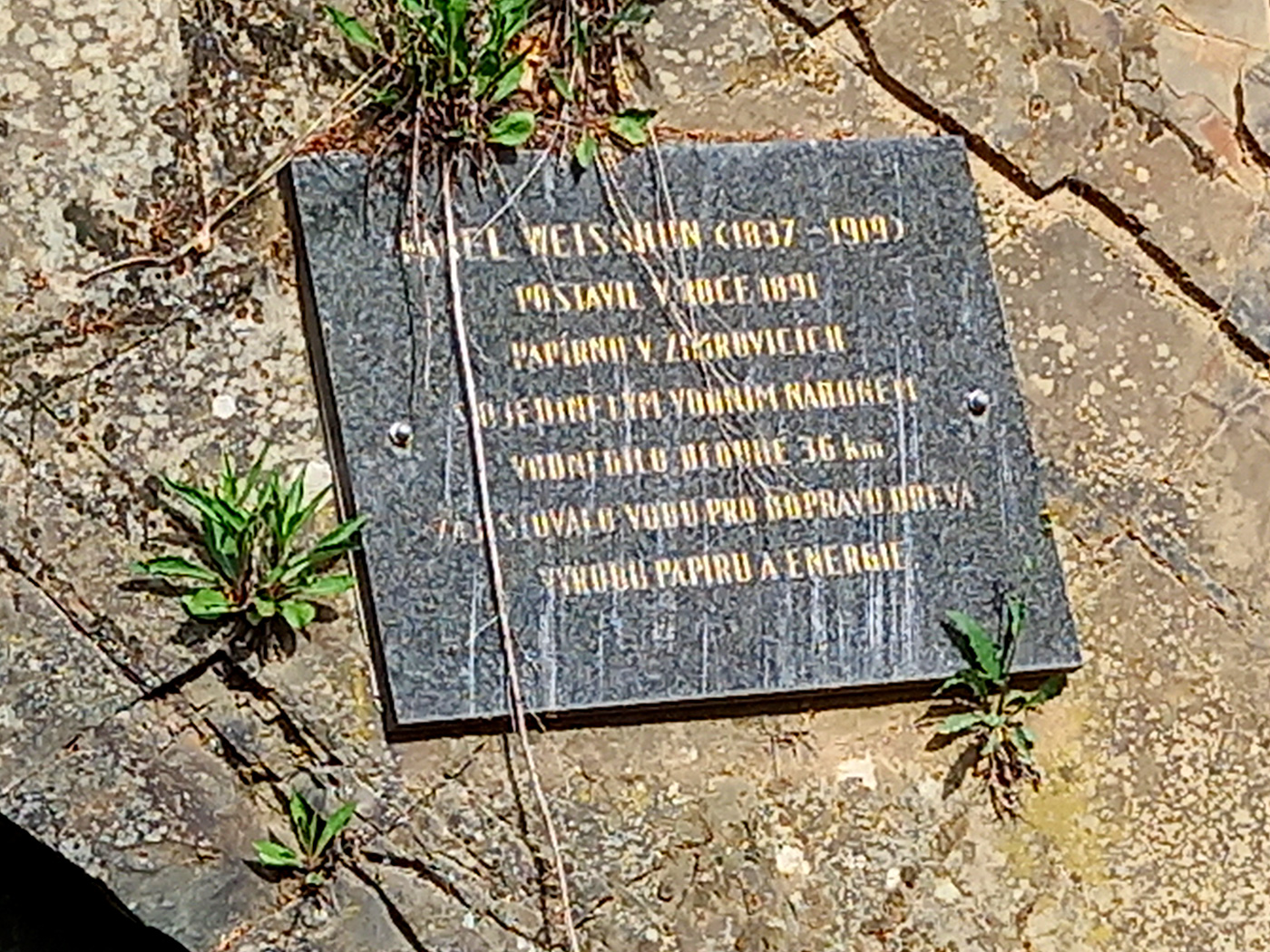 20260505_101230.jpg