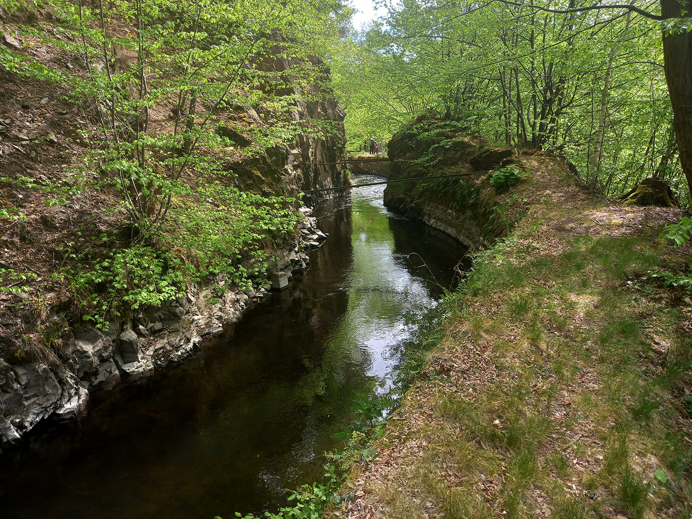 20260505_101446.jpg